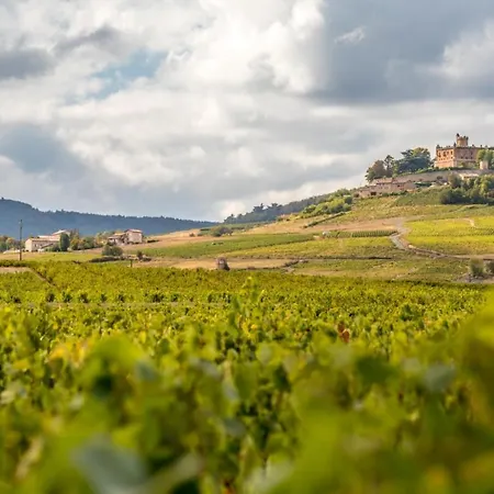 Holiday home Douceurs Des Vignes Du Vivian *