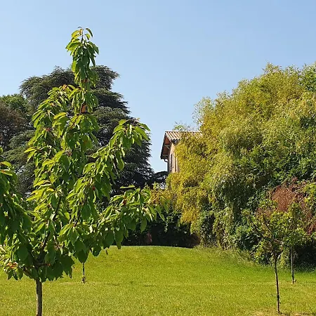 Douceurs Des Vignes Du Vivian Denice
