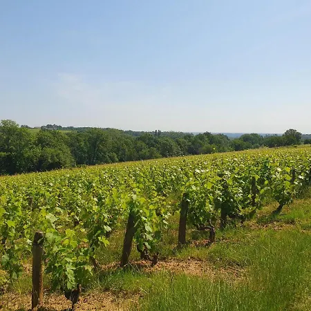Douceurs Des Vignes Du Vivian Holiday home *